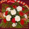Flying Colors - Click here to View more details about this Product